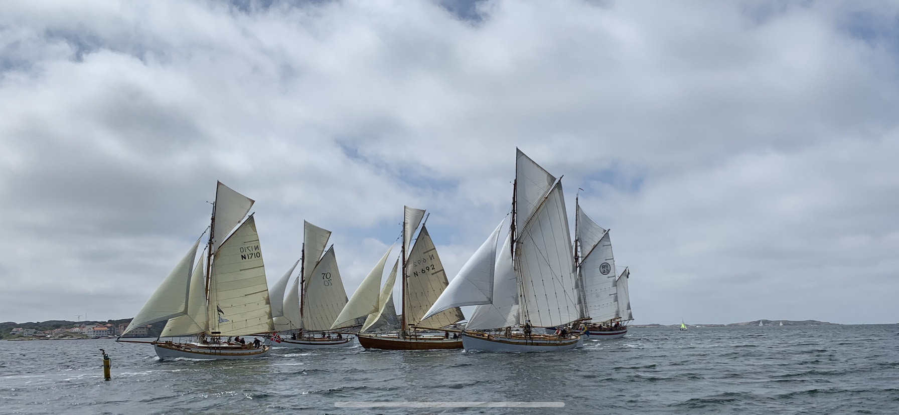 fem seglbåter med gaffelrigg får vind i seglene ute på havet.